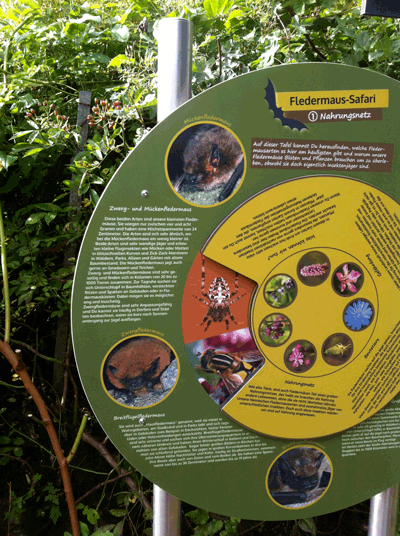 Fledermaus-Safari an der Schwentine, Raisdorf