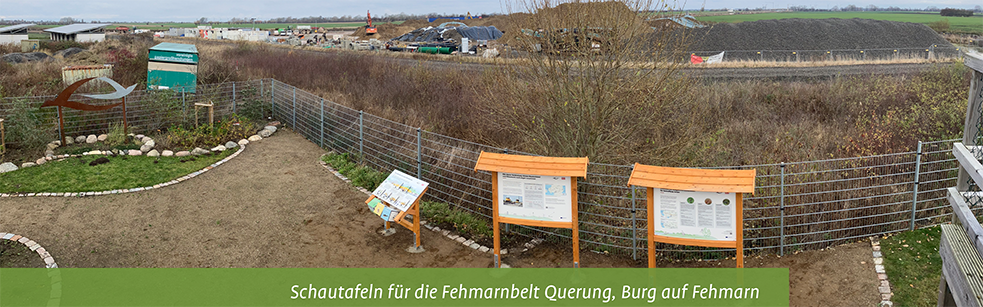 themenbild-fehmarnbelt-querung